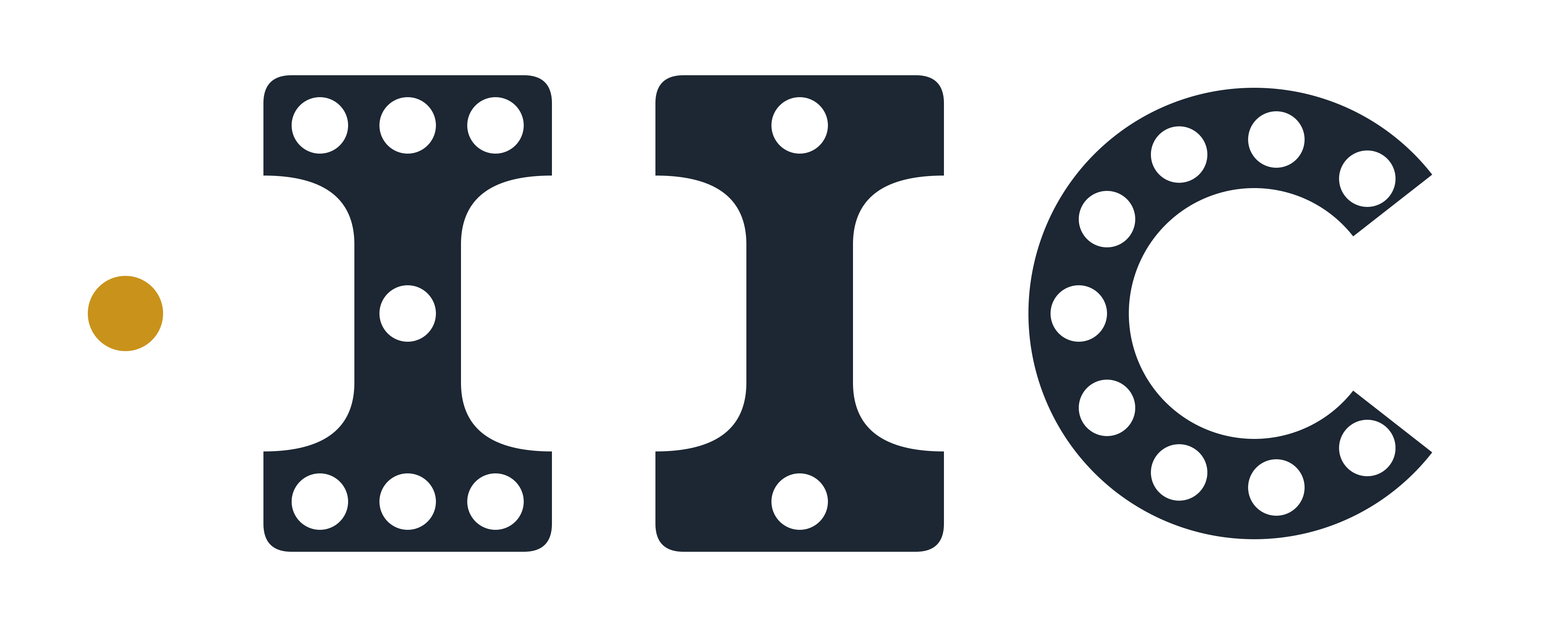 Indian Insights Company